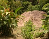 Imagen Piedra Sagrada